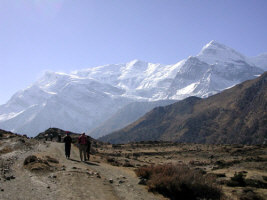 Trekking on the Annapurna Circuit